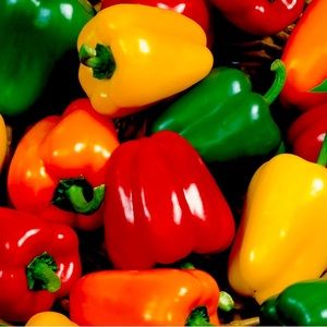 Bell  pepper seeds. Mixed Colors 100+Fresh Seeds From Organic Garden